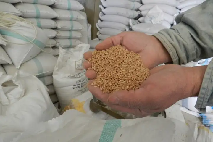 India will continue to export food grains to vulnerable countries