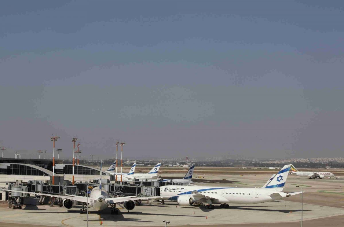 Israel halts all flights