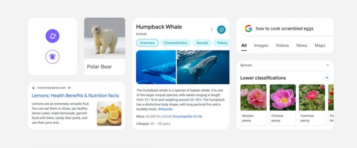 Google redesigns Search on mobile to simplify user experience
