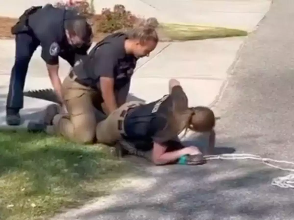 WATCH: Fearless women police officers pin down alligator in school campus