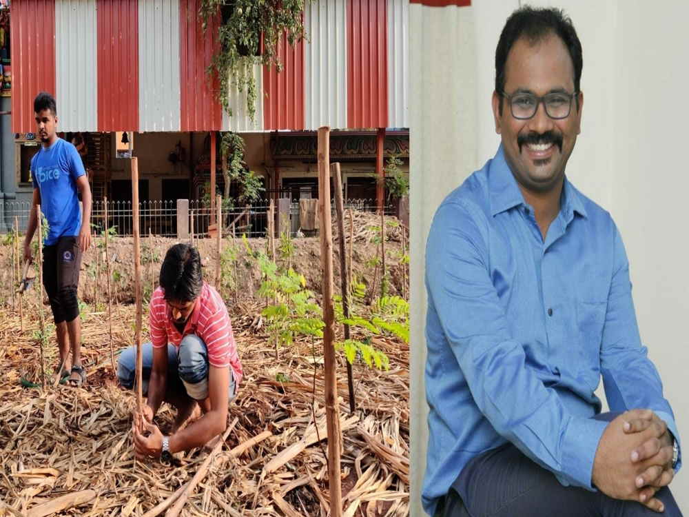 Using Japanese foresting technique, IAS officer turns Chennai green