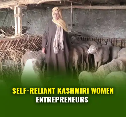 Jammu Kashmir Gov Making Women Self-Reliant Through Self-Employment Schemes- Animal, Sheep Husbandry