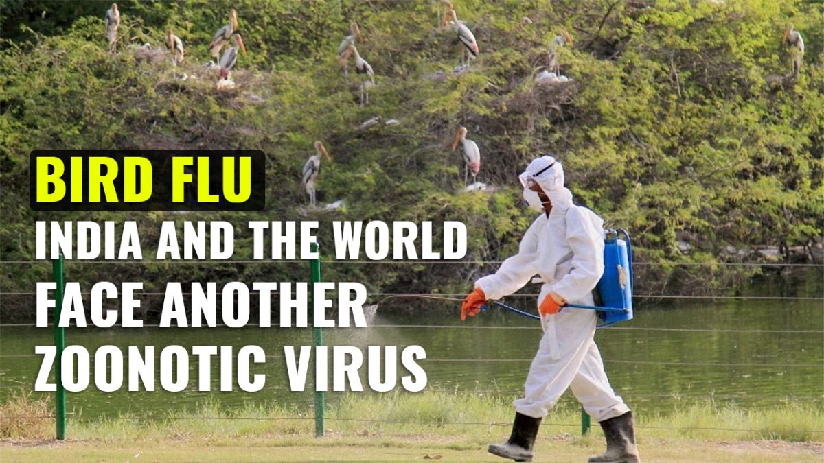 Bird Flu | India and the World Face Avian Flu