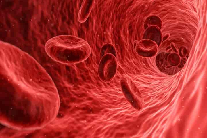 World’s 10th person with rarest blood group found in Gujarat