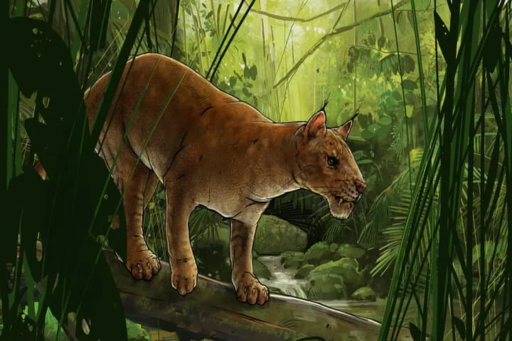 42 million years ago, a cat with sharp and slicing teeth was a hypercarnivore!