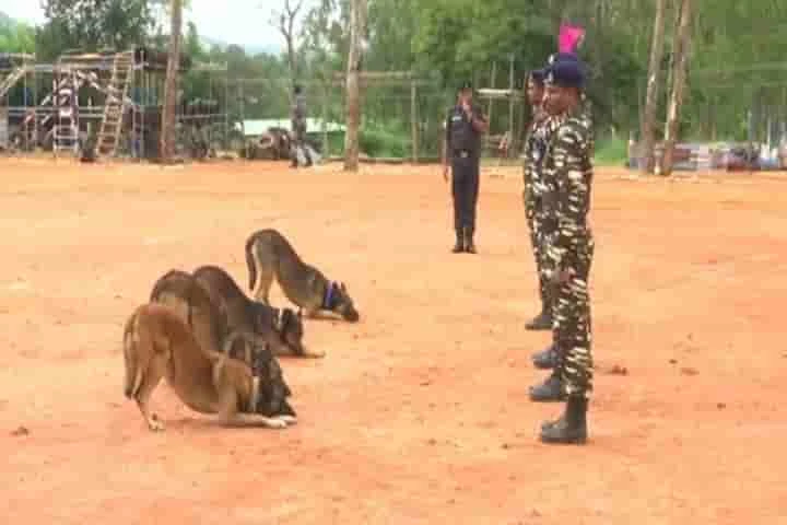100 new dogs to give more teeth to CRPF in anti-insurgency operations