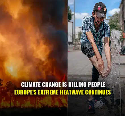 Europe Heatwave Killing People | European Countries Hit The Highest Ever Temperatures In History