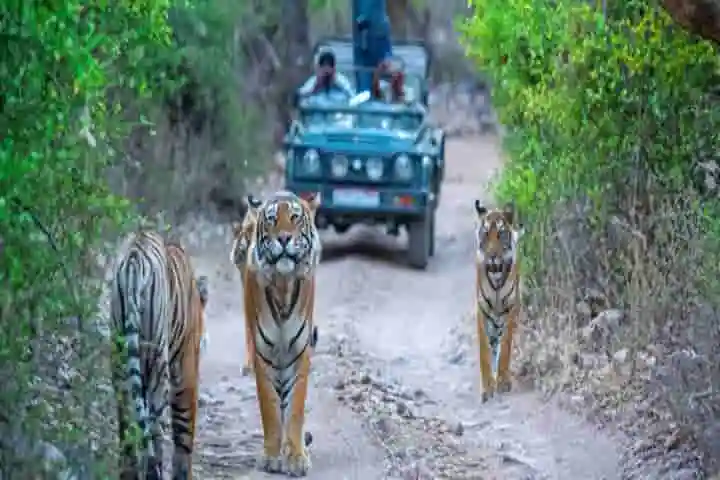 Corbett Tiger Reserve to be renamed as Ramganga National Park soon