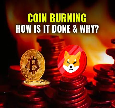 Explained | What Is Coin Burning? How Is It Done And Why? Sibu Inu Coin Burn | Cryptocurrency News