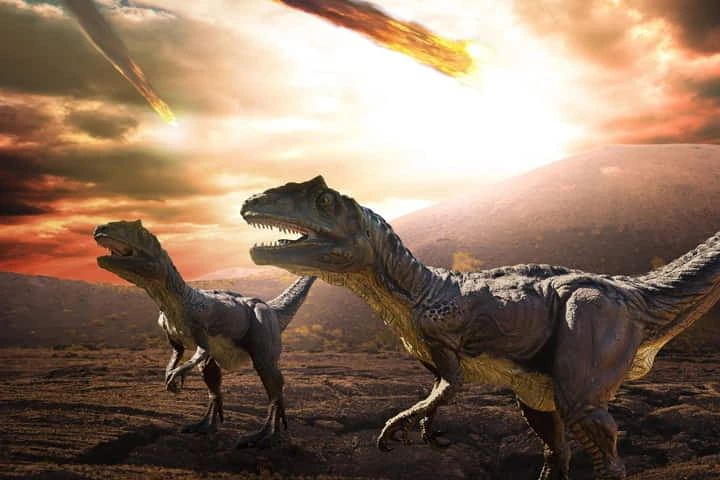 Ironically, spring season that brings fresh life saw death wave that wiped out Dinosaurs 66 million years ago