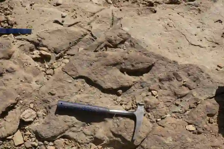 150 million old Dinosaur footprint goes missing