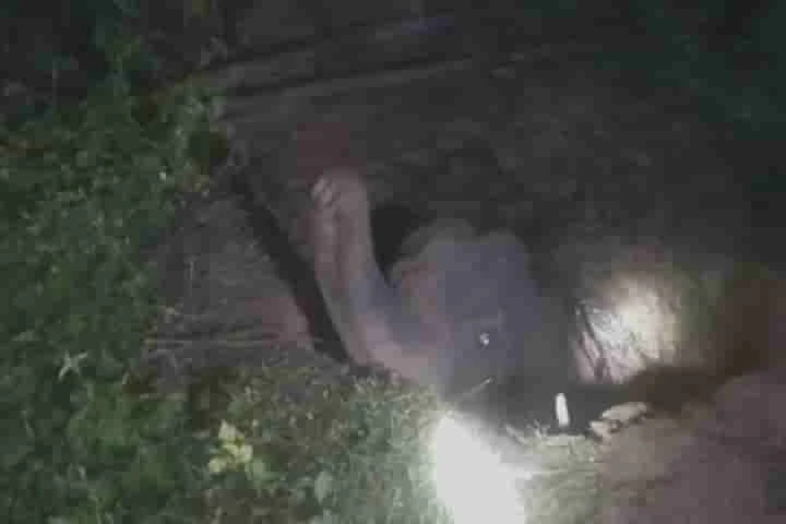 Forest officials rescue wild elephant from deep pit in Odisha village
