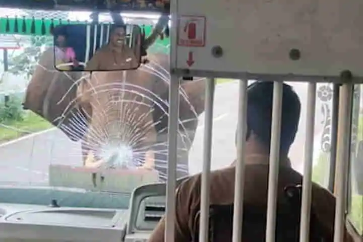 Brave bus driver saves passengers as angry elephant charges into windshield