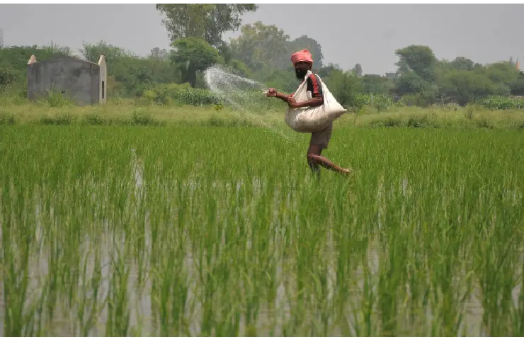 Union Budget likely to hike outlay for boosting farm production