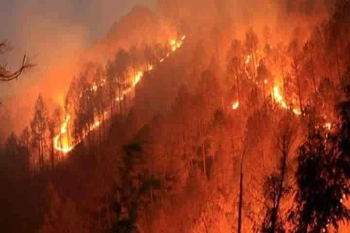 India’s merciless heat wave smashes into Shimla — Himachal’s fragile ecosystem now under threat