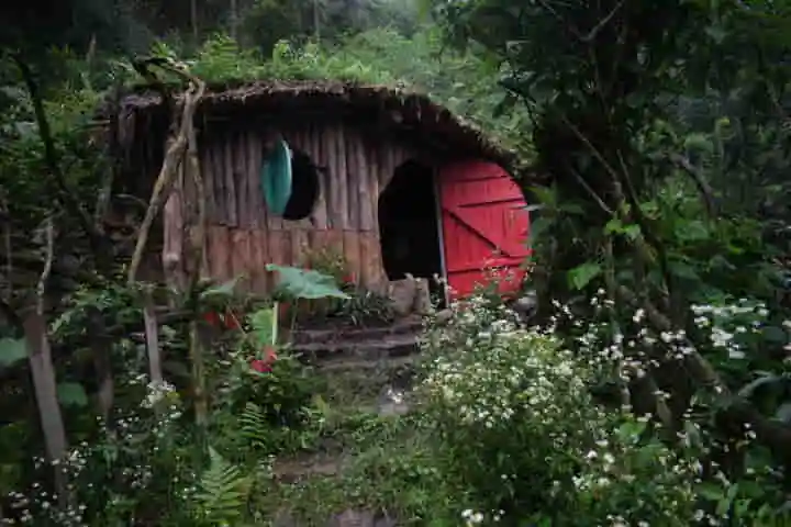 Eco-friendly  Hobbit Home in Nagaland’s green village becomes star tourist attraction