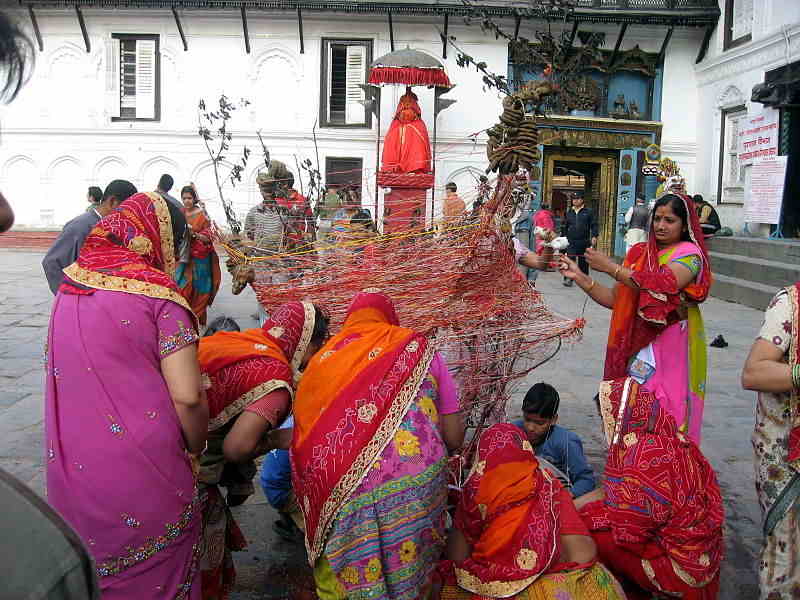 Indian diaspora spreads the colour and joy of Holi across the world