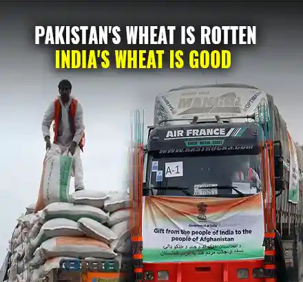 Taliban Slams Pakistan For Donating Rotten Wheat | Thanks India For Sending Good Quality Of Wheat