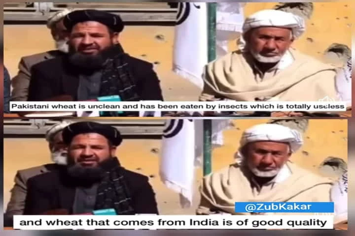 Video: Indian Wheat vs Pakistani wheat – Indian wheat is good, Pakistani wheat rotten, says Taliban official
