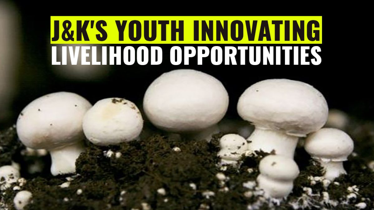Jammu and Kashmir Youth Innovating Livelihood Opportunities