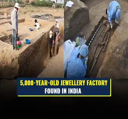 Rakhigarhi Excavation: ASI Finds 5,000-Year-Old Jewellery Factory At Rakhigarhi Harrapan Site