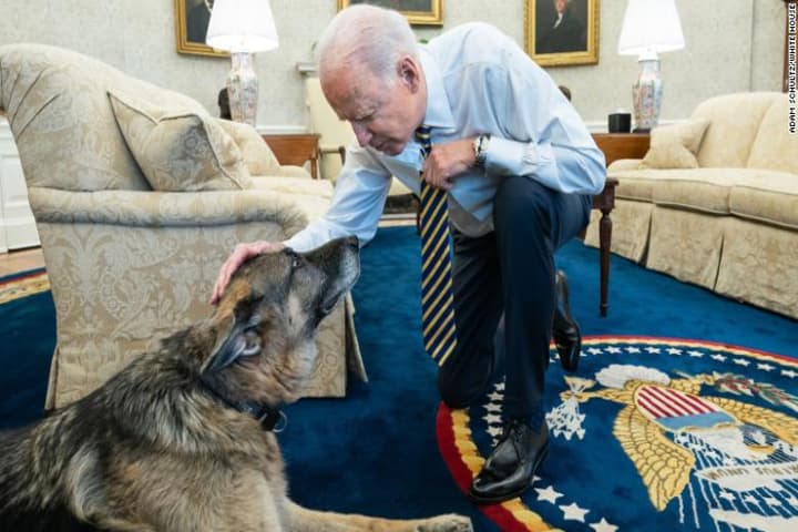 US President Joe Biden and First Family bids adieu to ‘Champ’ — the beloved German Shepherd