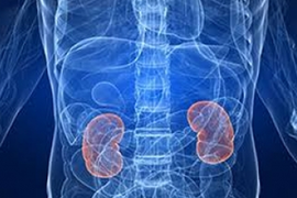 Kidney damage is the silent killer in Covid patients, say USA’s top docs