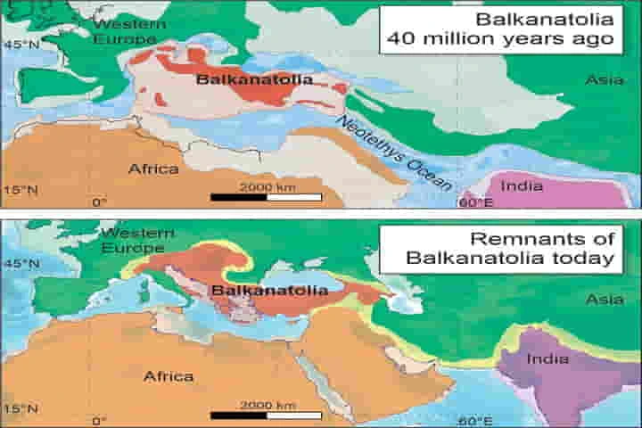 40 million years ago Asian animals moved to Europe because of “Balkanatolia”