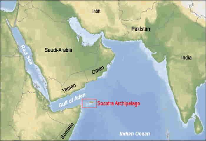 Why has UAE dared to establish  a strategic foothold at Socotra?