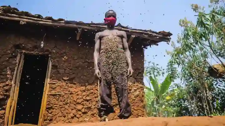 The man from Rwanda honey trapped by queen bee