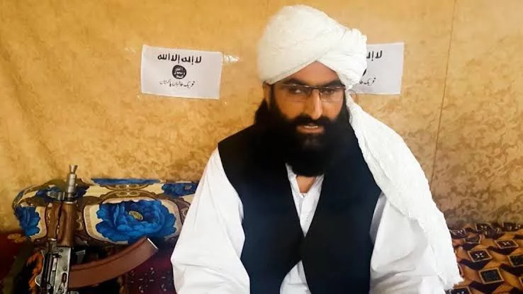 Watch: Pakistan Taliban declares it will never surrender weapons to Islamabad, despite talks