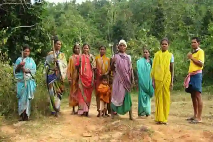 Women of Odisha village turn guardian of the forests