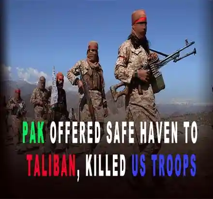 Pak Offered Safe Haven To Taliban, Killed US Troops Says US Senator On Pak Taliban Double Dealing