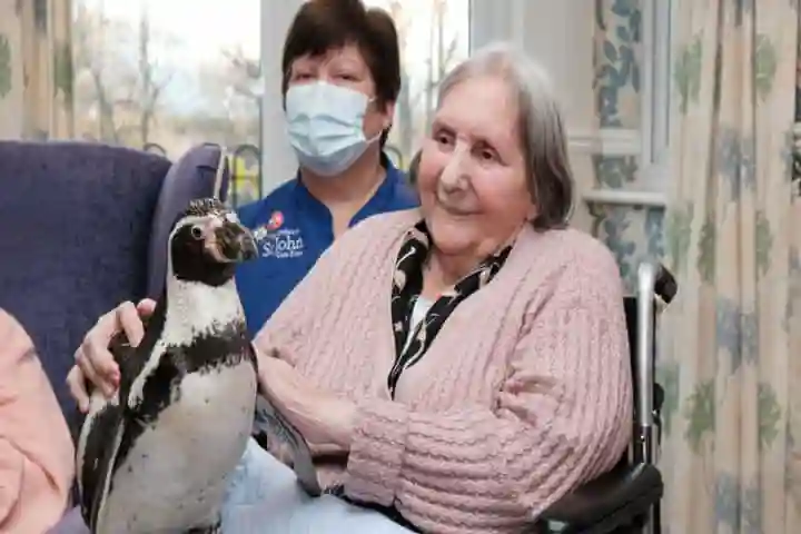 Penguins Charlie and Pringle Cheer Senior Citizens
