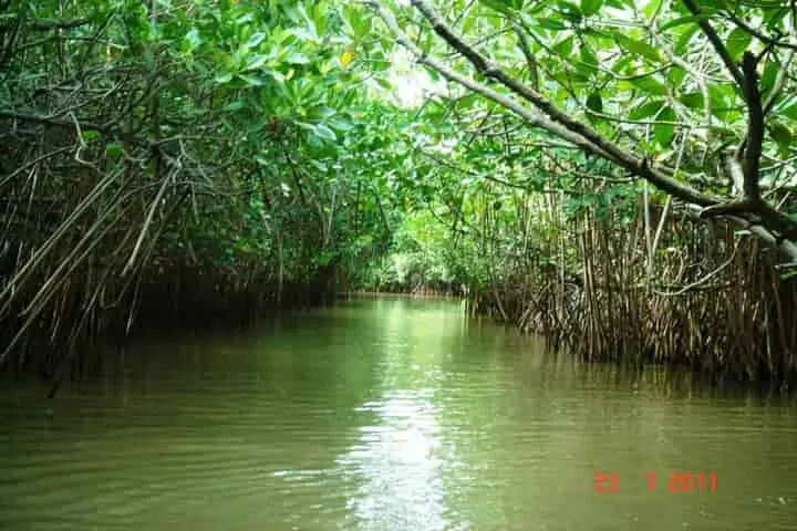 Five wetlands in India declared Ramsar Sites