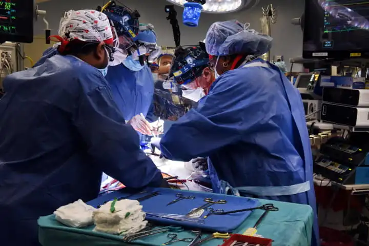 In a first, US surgeons successfully implant pig’s heart in a human