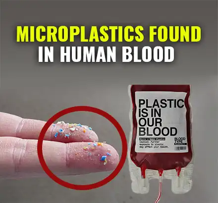 First Time Ever Microplastics Found In Human Blood | Plastic Particles In Blood