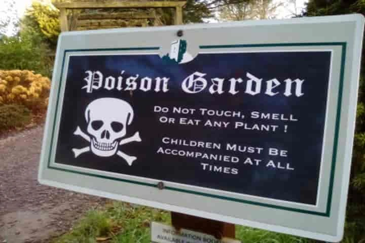 In world’s deadliest English garden, visitors are warned not to  touch, smell or taste plants!