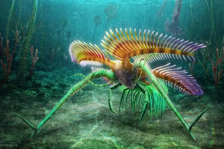 450 million years old blind creature which walked on stilts amazes scientists