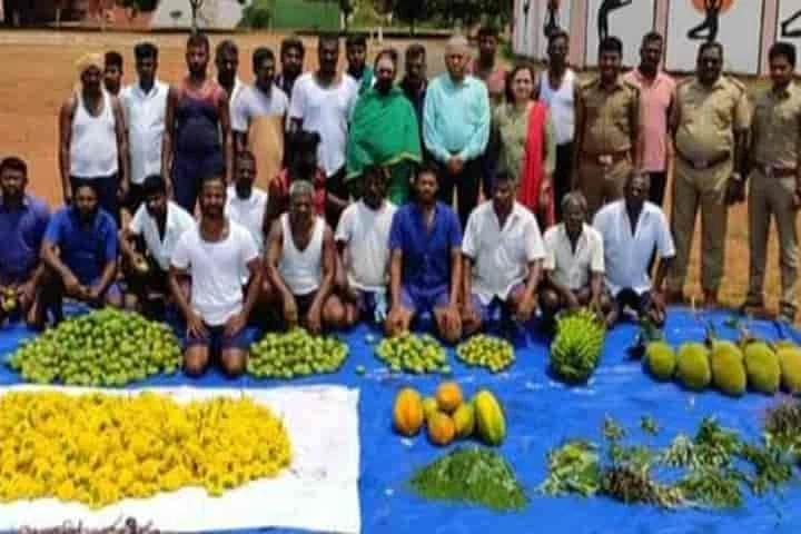 Puducherry Central Jail shows the way – prisoners are offered farming, animal husbandry and arts to reform
