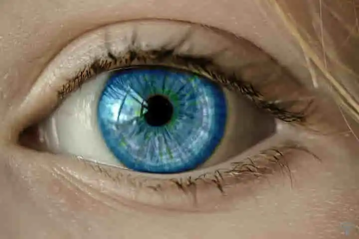 Human eye pupils are key to counting and detecting quantity