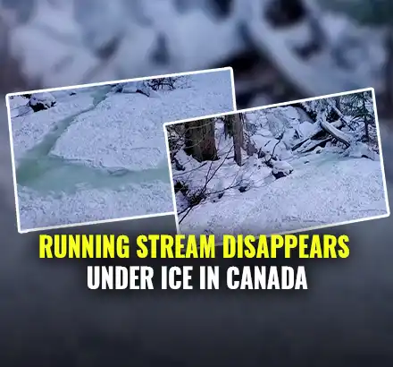 Running Stream In Canada Disappears Under Ice | Frazil Ice Phenomenon