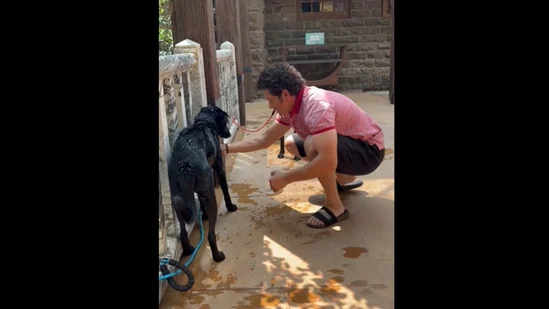 Video: Cricket legend Sachin Tendulkar showers his pet dogs with shampoo & tender love!