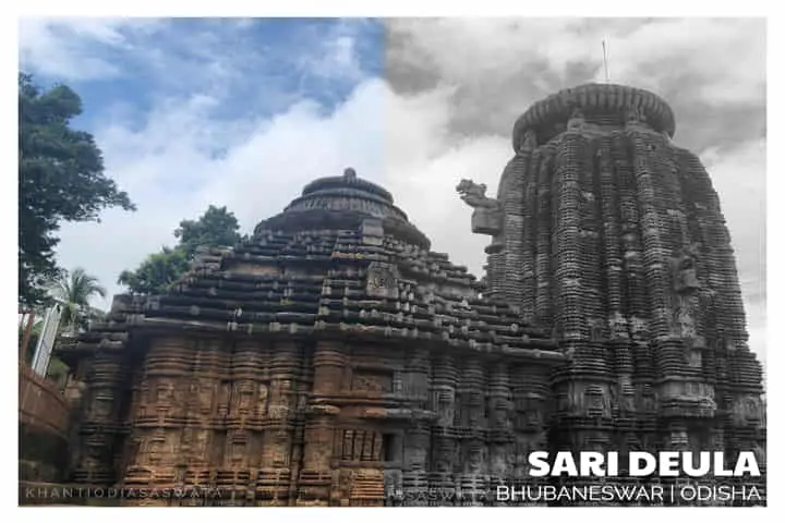 ASI discovers unique decorative panels at Bhubaneswar’s iconic Sari Deula temple