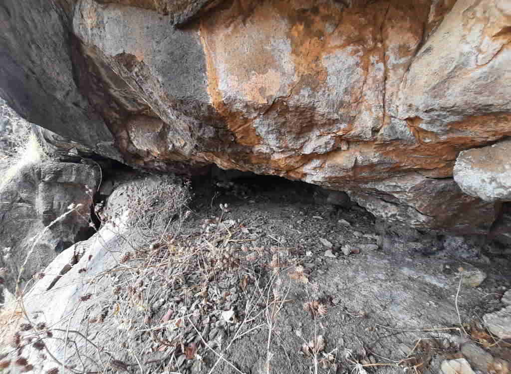 Picnic leads to centuries-old Satavahana era mystery cave
