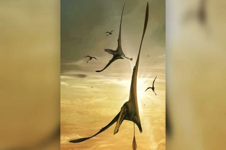 Fossil of ancient Jurassic period’s largest flying reptile unearthed in Scotland