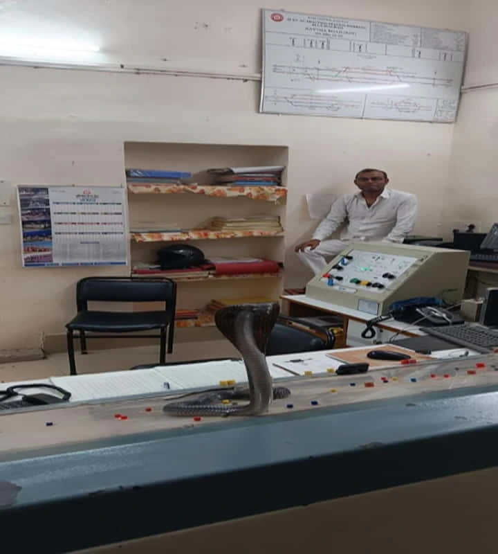 Six-foot Cobra takes charge of control room at railway station near Kota in Rajasthan!