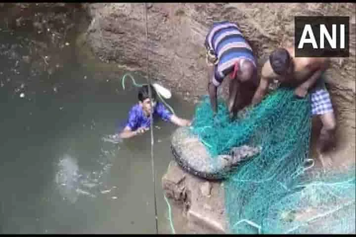 Forest dept. staff rescue spotted deer from deep well in Coimbatore
