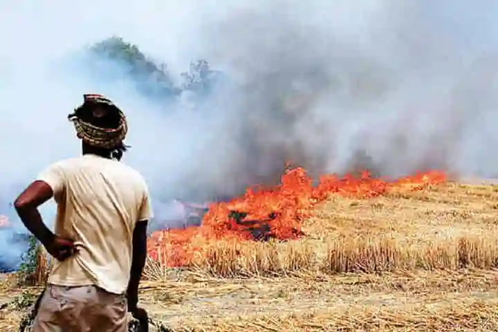 High-level meeting held to save Delhi, NCR from pollution due to paddy straw burning