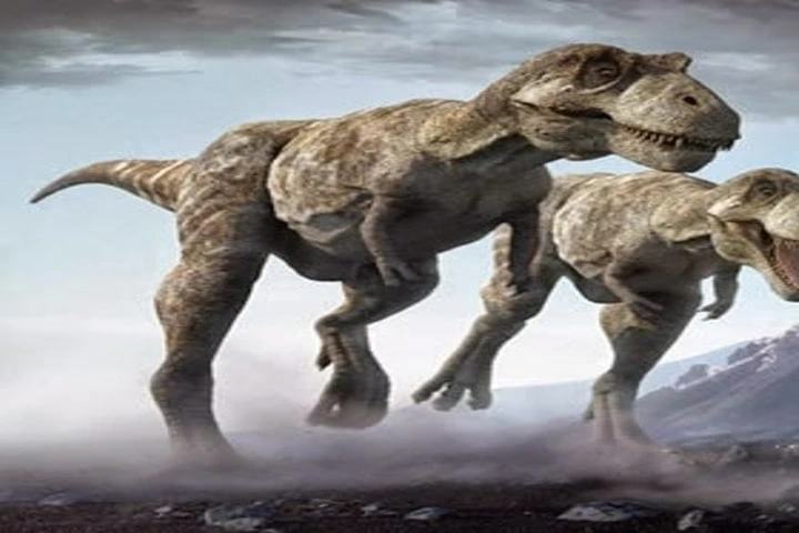 Gigantic flesh-eating dinosaur evolved tiny arms to keep them safe in frenzied group feeding